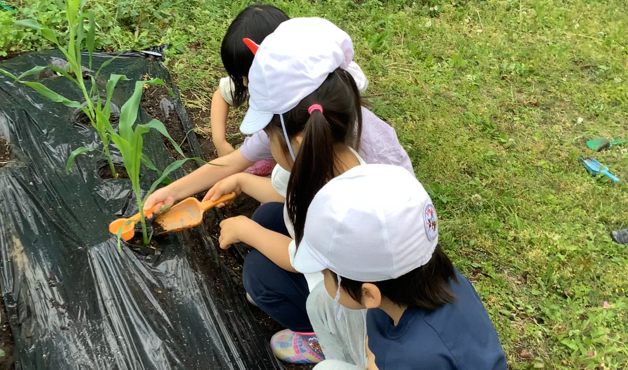 おおきくなあれ！（4歳児）