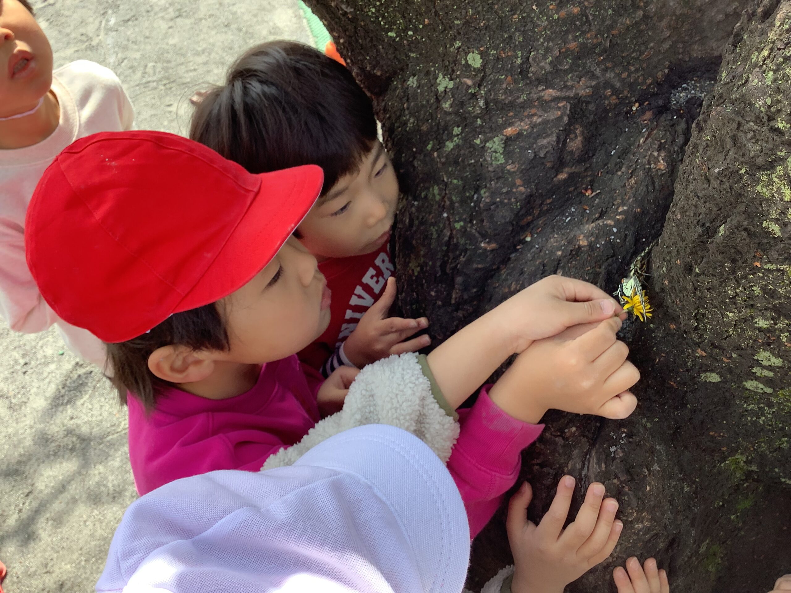 ちょうちょうに変身！（5歳児）