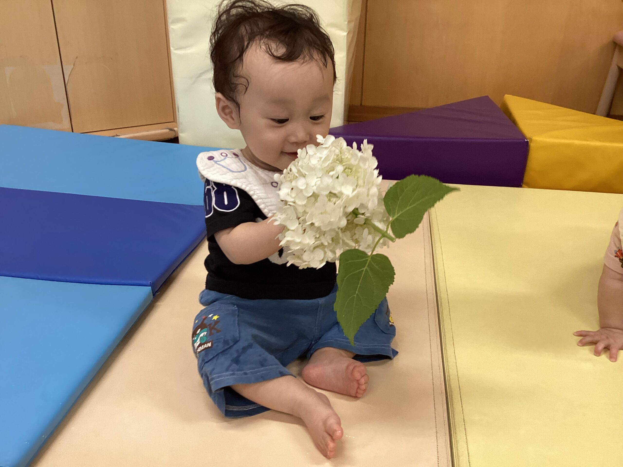 アジサイ×感触遊び（0歳児）