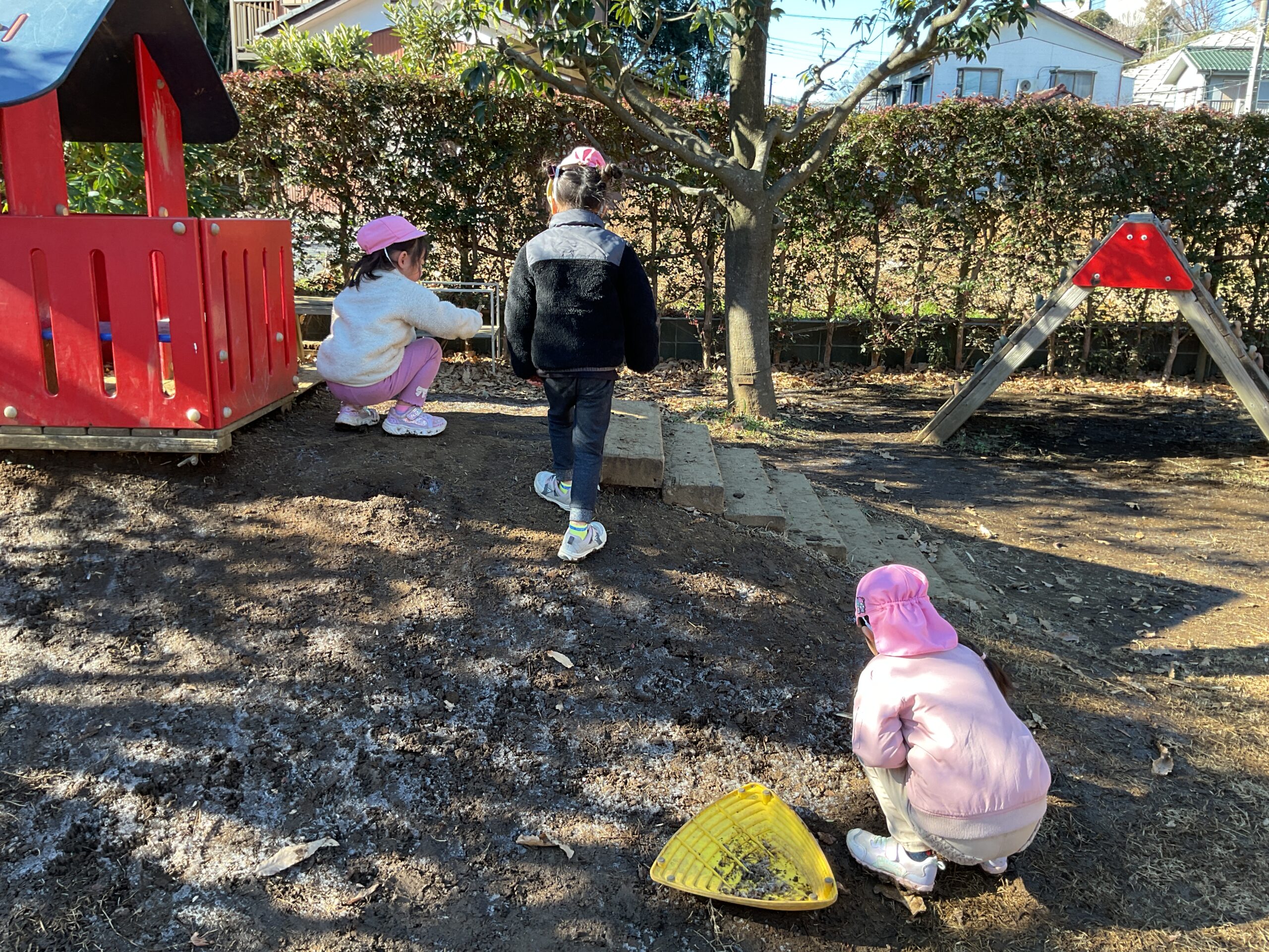 ⭐︎霜ばしら⭐︎（4歳児）