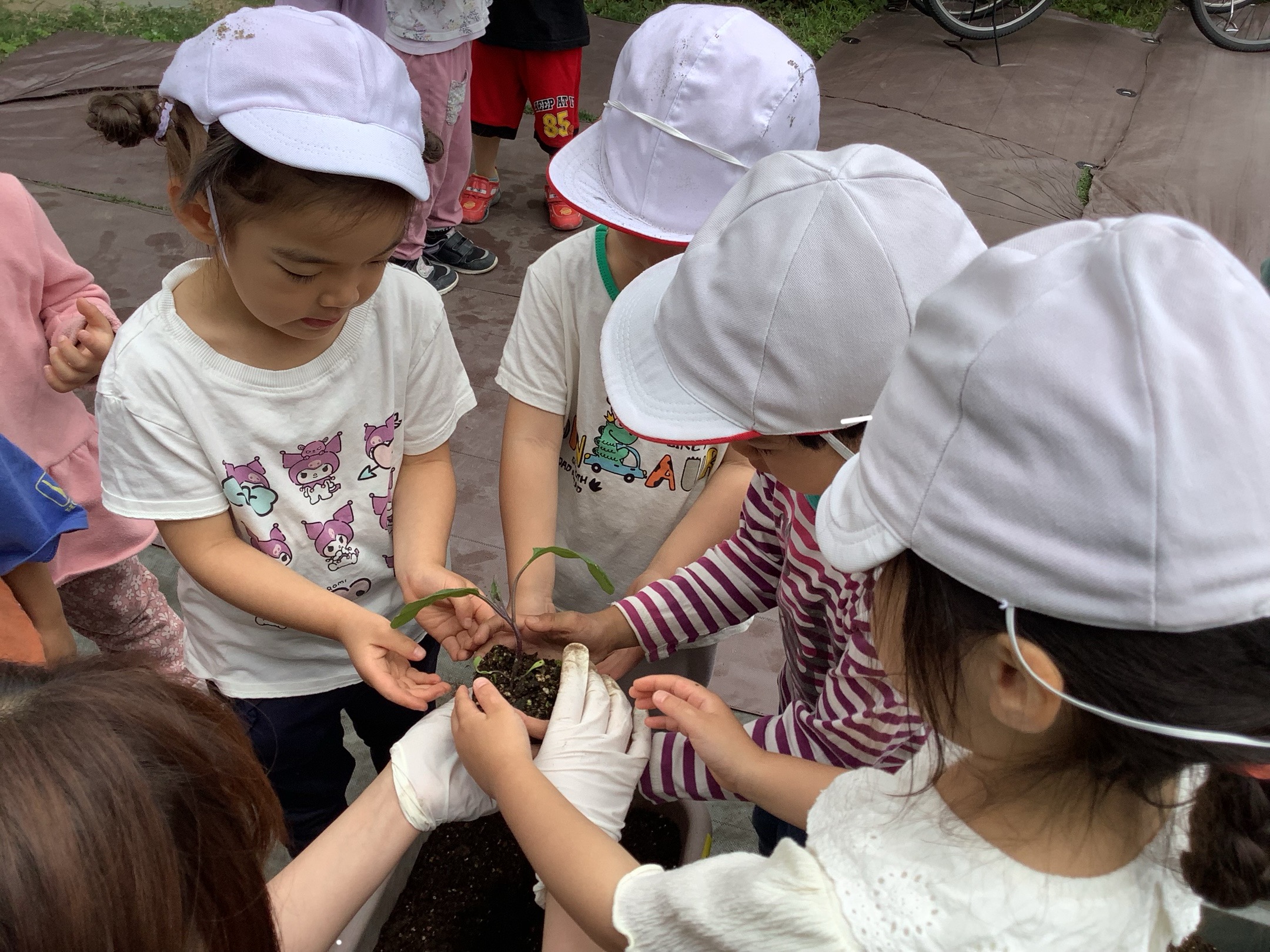 おおきくなーれ！（4.5歳児）