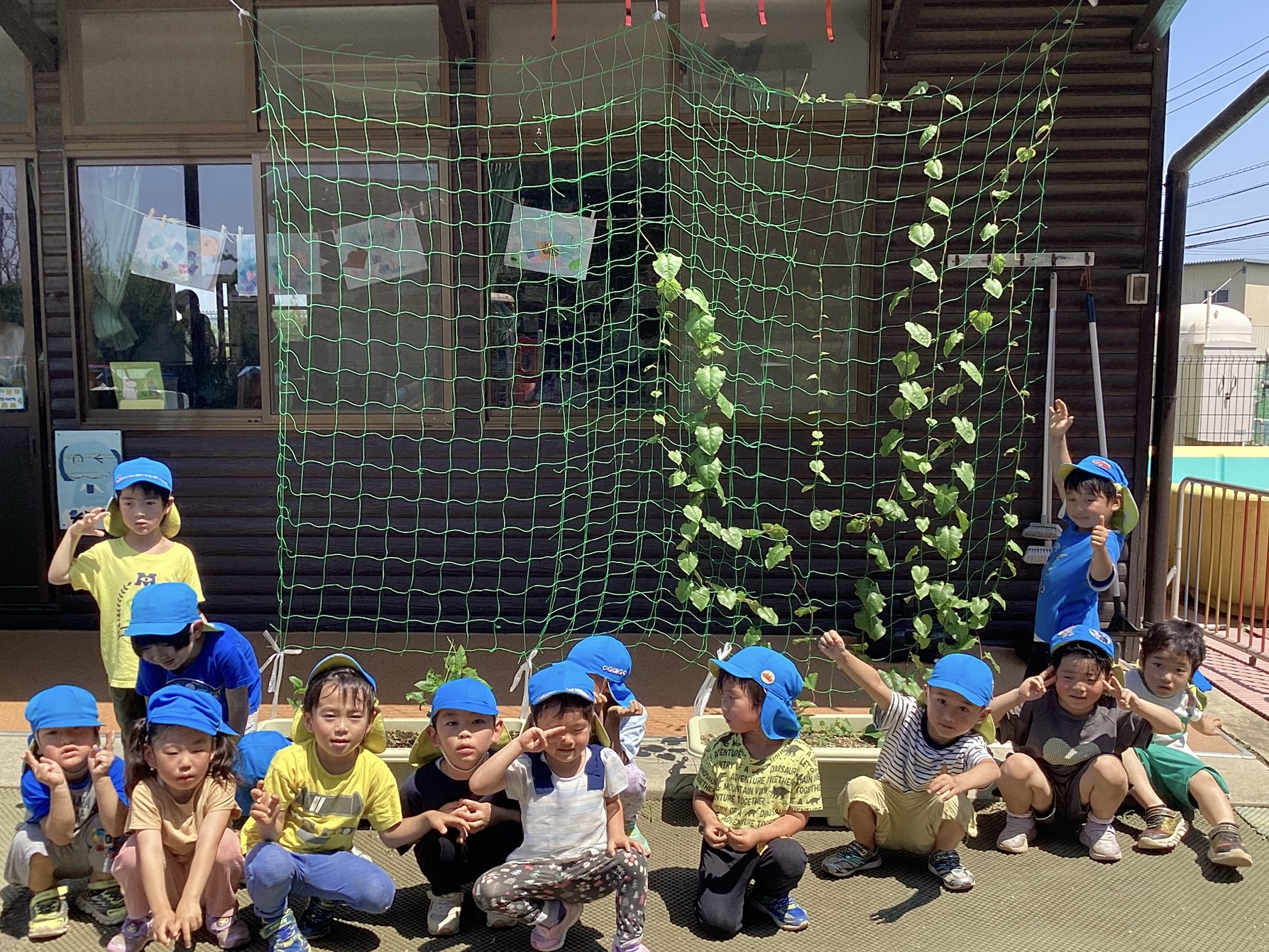 夏野菜　おおきくなぁれ！