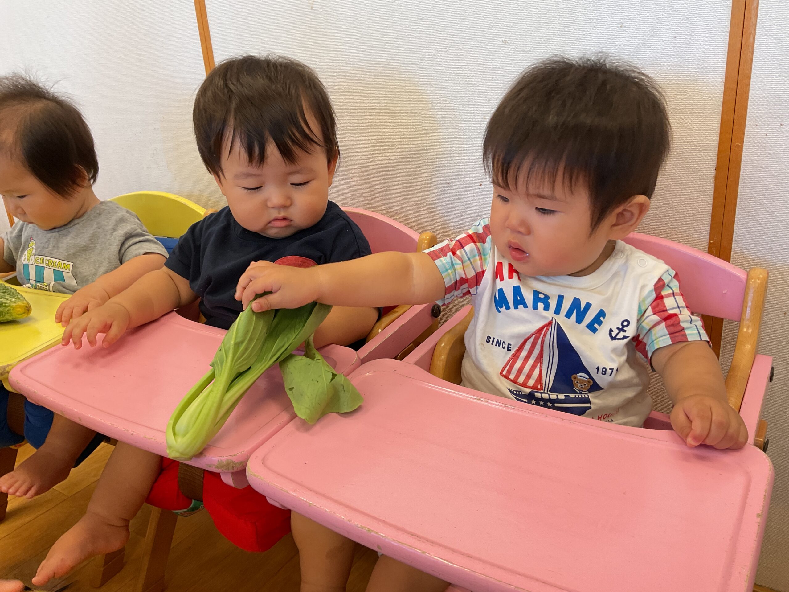 夏野菜を触りました🌽〜0歳児クラス〜