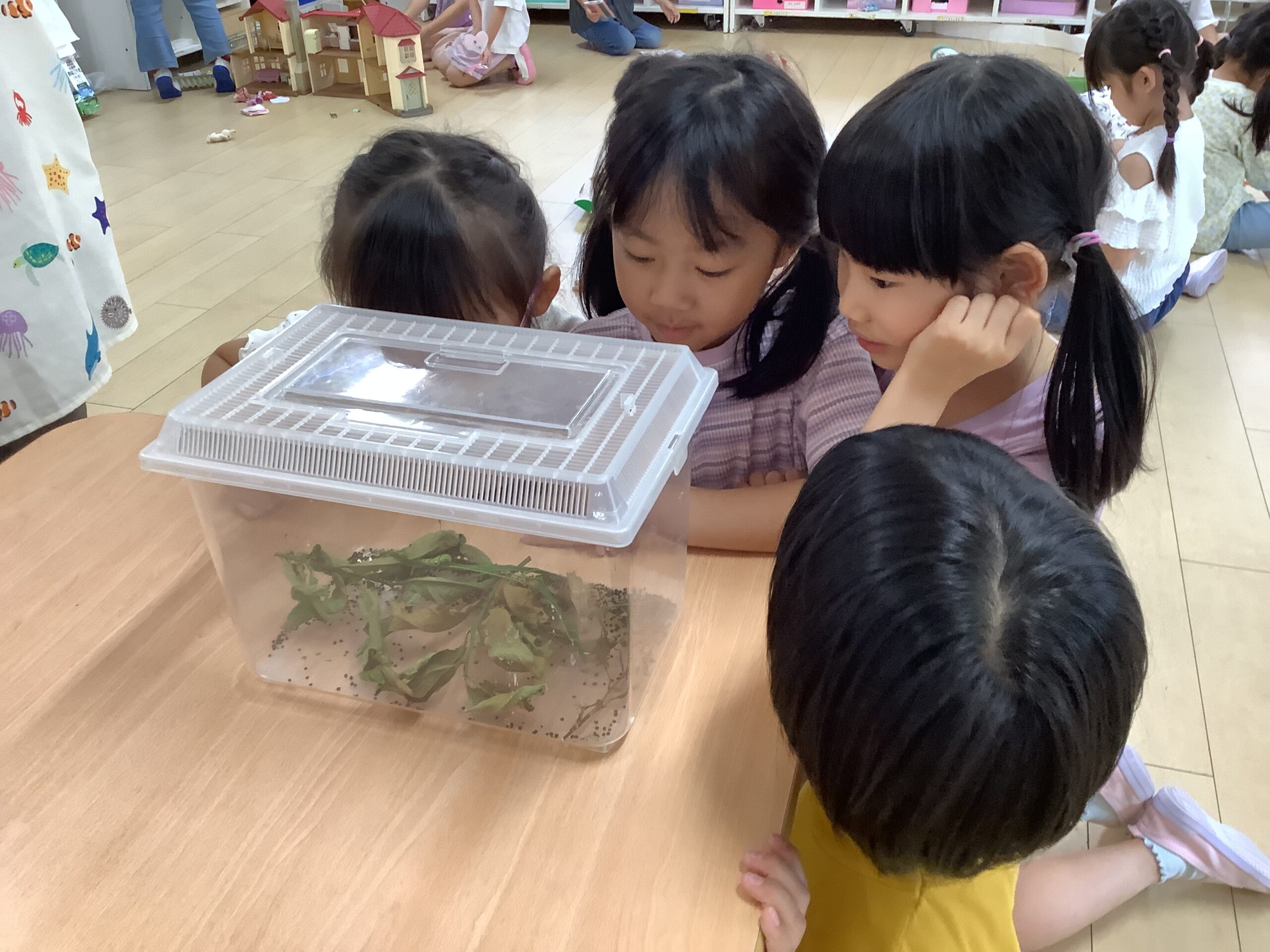 夏の思い出（5歳児）