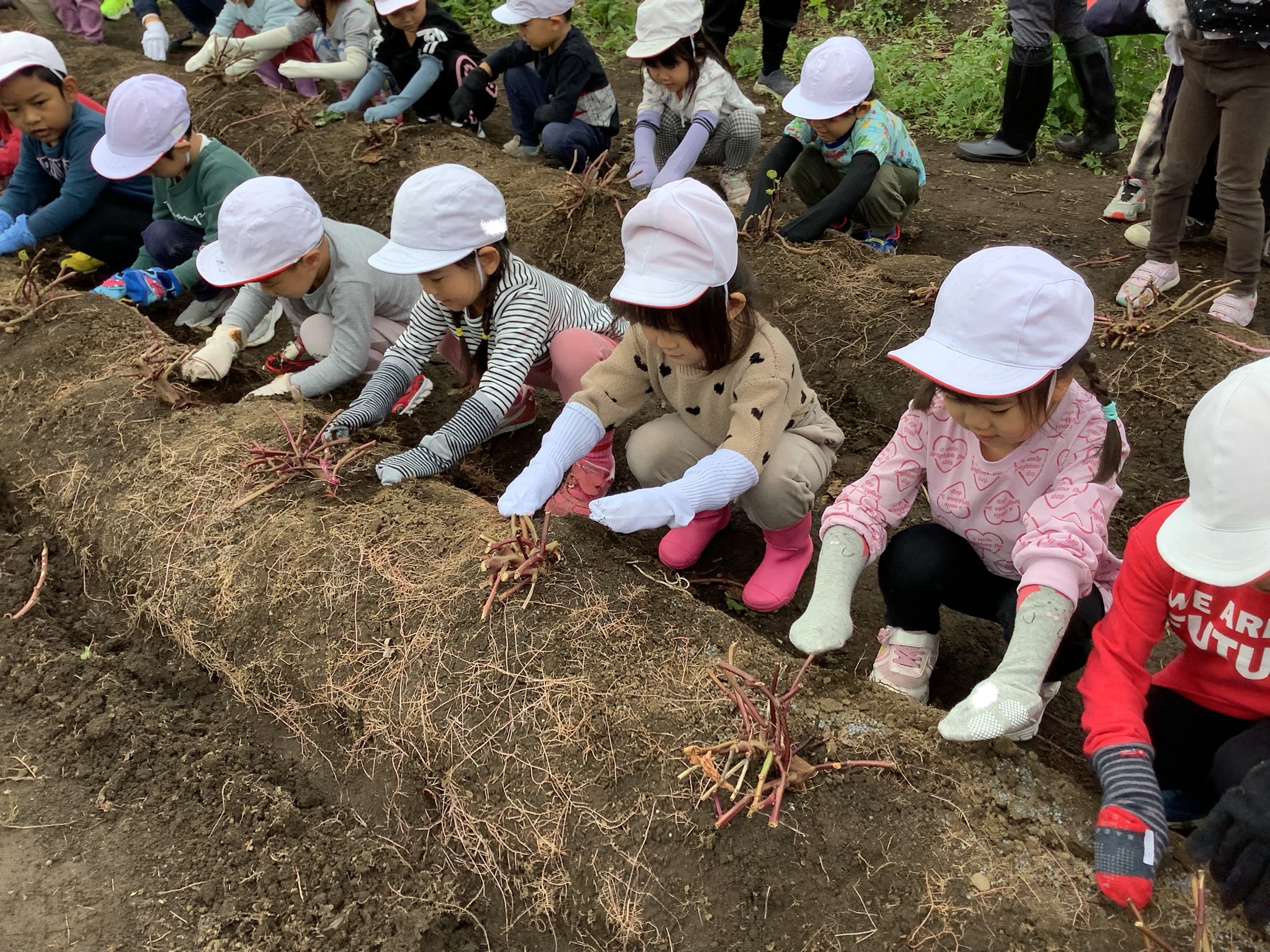 うーんしょ！どっこいしょ！（全クラス）