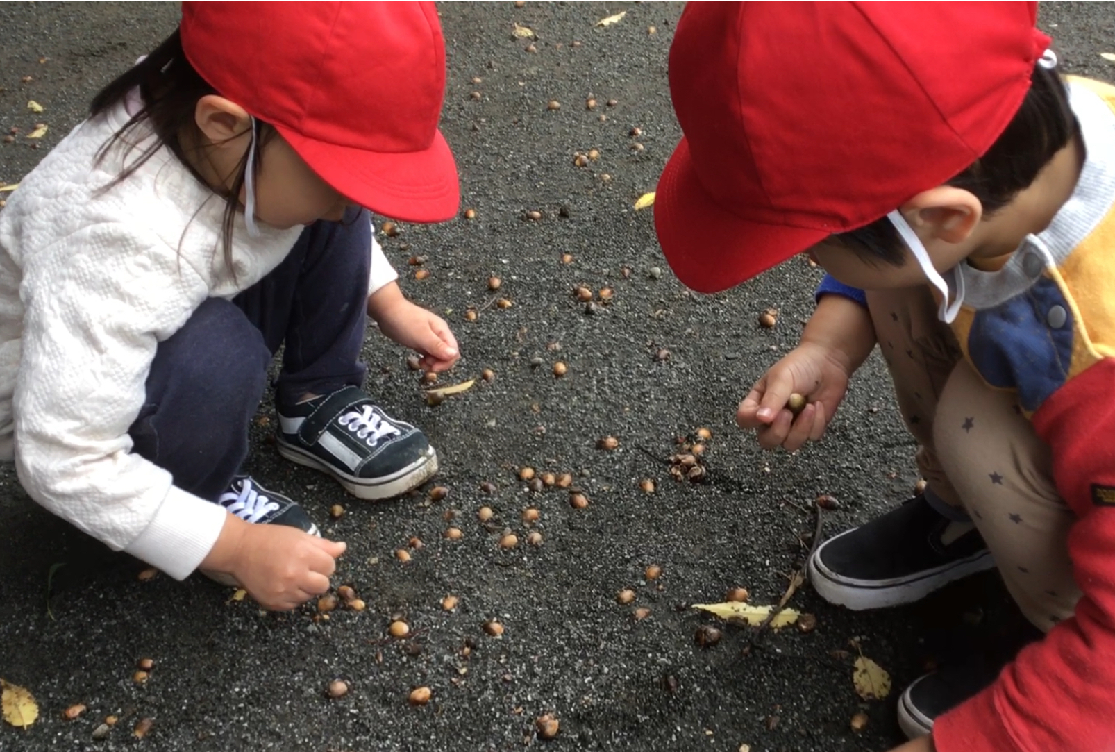みーつけた！（2歳児）