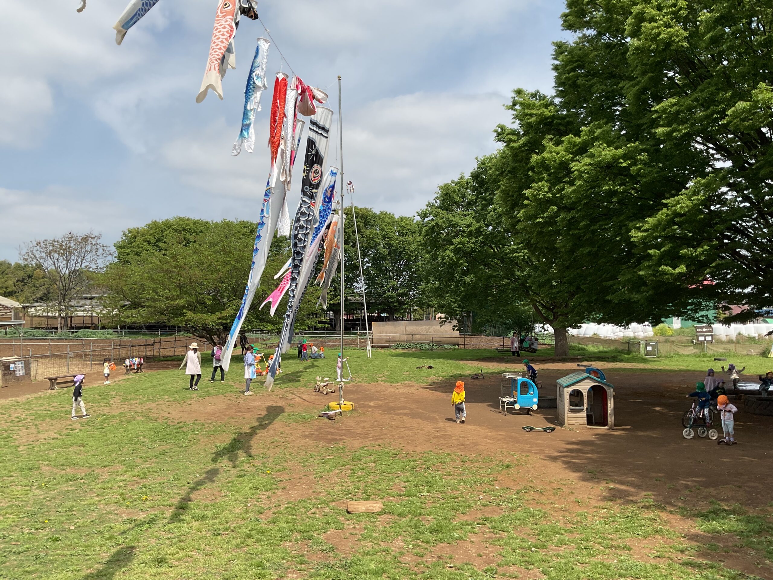 やねよーりーたーかーい♫