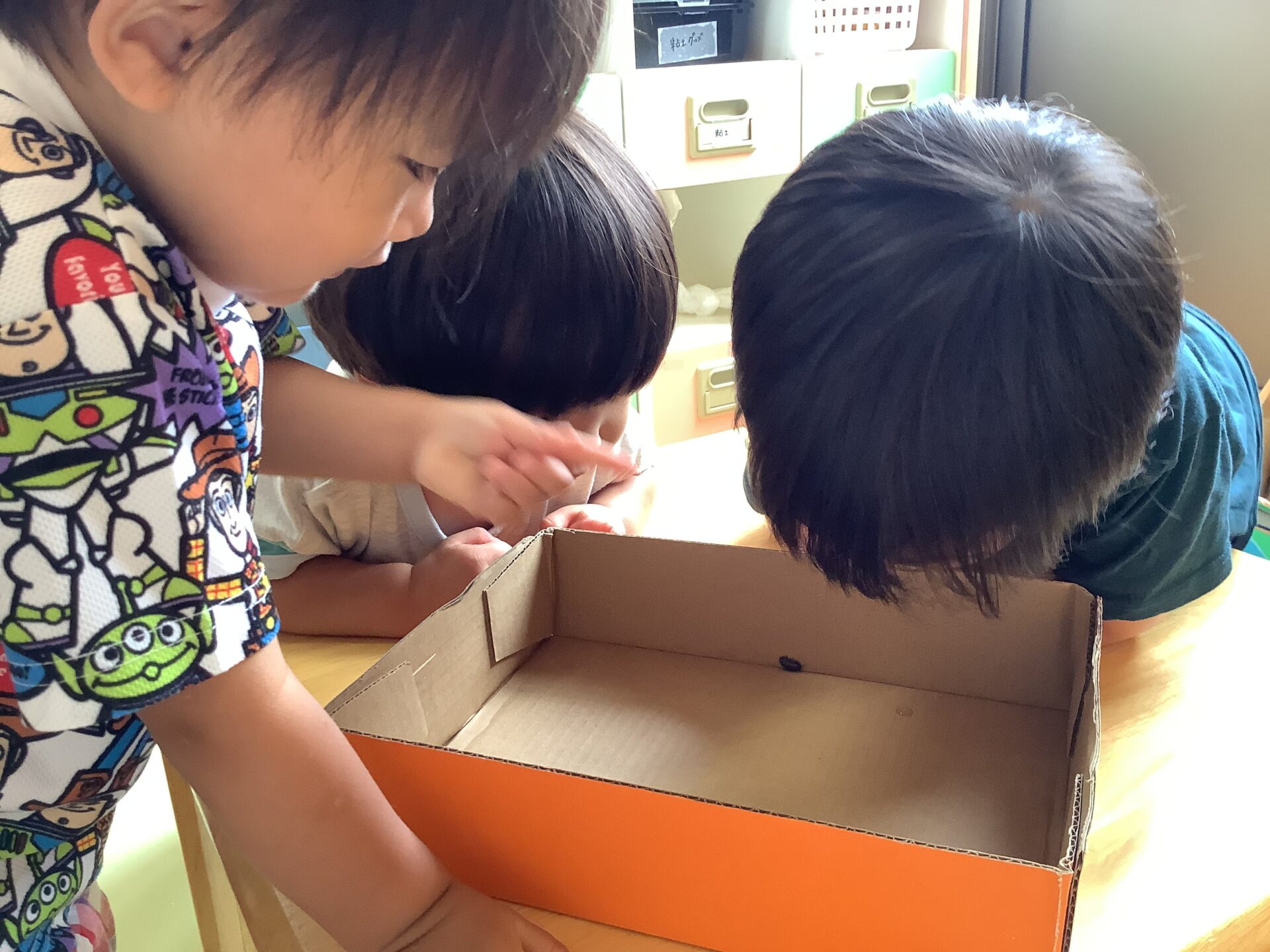 大好きなダンゴムシ(2歳児)
